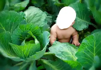 Efecto de fotos de la categoría Para los niños № 90533