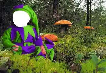 Efecto de fotos de la categoría Para los niños № 90549