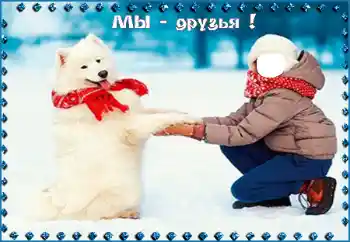 Inscripción en el marco: Мы - друзья!