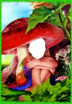 Efecto de fotos de la categoría Para los niños № 96367