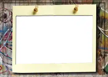 Efecto de fotos de la categoría Álbum No.5 № 916