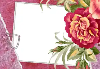 Efecto de fotos de la categoría Marcos para Enamorados № 112250