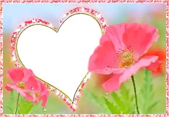 Efecto de fotos de la categoría Marcos para Enamorados № 112482