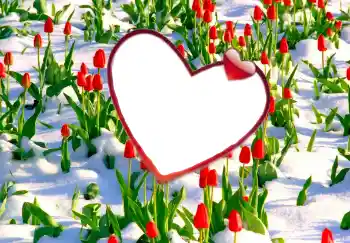 Efecto de fotos de la categoría Marcos para Enamorados № 114247