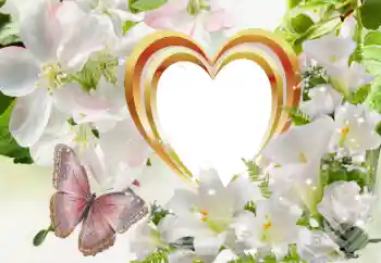 Efecto de fotos de la categoría Marcos para Enamorados № 114320