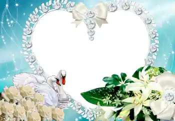 Efecto de fotos de la categoría Marcos para Enamorados № 117218