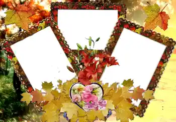 Efecto de fotos de la categoría Marcos para Enamorados № 124326