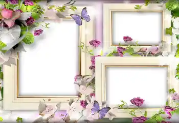 Efecto de fotos de la categoría Marcos para Enamorados № 141166