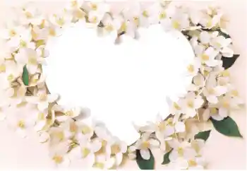 Efecto de fotos de la categoría Marcos para Enamorados № 14892 Efecto de fotos de la categoría Marcos para Enamorados № 14892