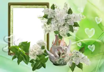 Efecto de fotos de la categoría Marcos para Enamorados № 153257 Efecto de fotos de la categoría Marcos para Enamorados № 153257