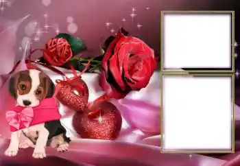 Efecto de fotos de la categoría Marcos para Enamorados № 154605 Efecto de fotos de la categoría Marcos para Enamorados № 154605