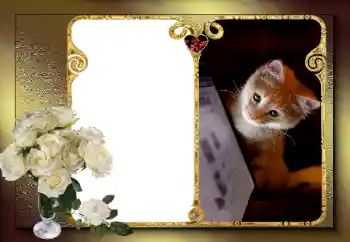 Efecto de fotos de la categoría Marcos para Enamorados № 163583