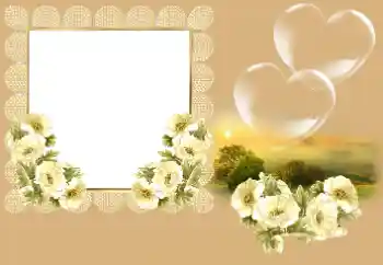 Efecto de fotos de la categoría Marcos para Enamorados № 166669