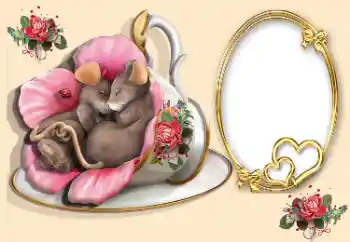 Efecto de fotos de la categoría Marcos para Enamorados № 170567