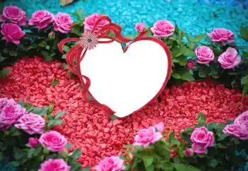 Efecto de fotos de la categoría Marcos para Enamorados № 175547