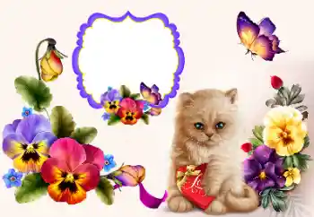 Efecto de fotos de la categoría Marcos para Enamorados № 177858