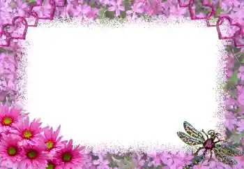 Efecto de fotos de la categoría Marcos para Enamorados № 1817 Efecto de fotos de la categoría Marcos para Enamorados № 1817