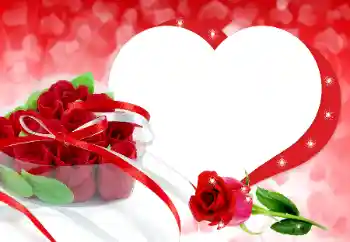 Efecto de fotos de la categoría Marcos para Enamorados № 190531 Efecto de fotos de la categoría Marcos para Enamorados № 190531