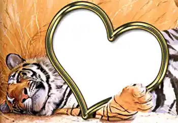 Efecto de fotos de la categoría Marcos para Enamorados № 2202