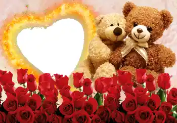 Efecto de fotos de la categoría Marcos para Enamorados № 2215