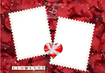 Inscripción en el marco: I love you! Inscripción en el marco: I love you!