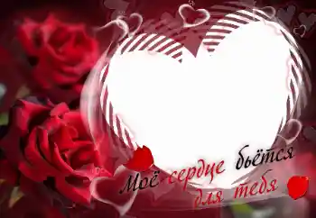 Inscripción en el marco: Моё сердце бьётся для тебя Inscripción en el marco: Моё сердце бьётся для тебя