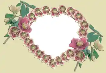 Efecto de fotos de la categoría Marcos para Enamorados № 49524 Efecto de fotos de la categoría Marcos para Enamorados № 49524