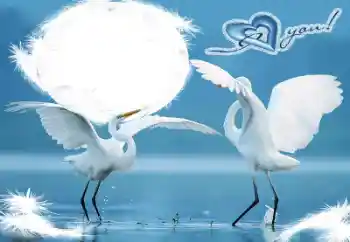 Inscripción en el marco: I love you! Inscripción en el marco: I love you!