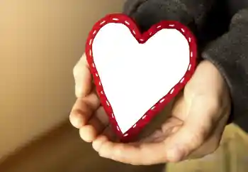 Efecto de fotos de la categoría Marcos para Enamorados № 65764 Efecto de fotos de la categoría Marcos para Enamorados № 65764