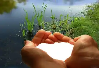 Efecto de fotos de la categoría Marcos para Enamorados № 67019 Efecto de fotos de la categoría Marcos para Enamorados № 67019