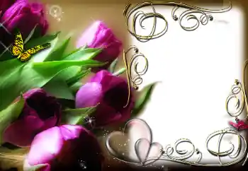 Efecto de fotos de la categoría Marcos para Enamorados № 78969 Efecto de fotos de la categoría Marcos para Enamorados № 78969