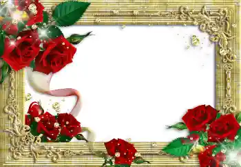 Efecto de fotos de la categoría Marcos para Enamorados № 89340