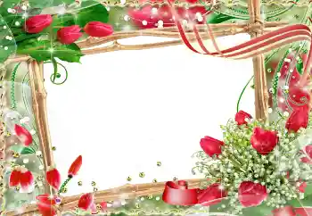 Efecto de fotos de la categoría Marcos para Enamorados № 91729