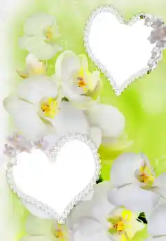 Efecto de fotos de la categoría Marcos para Enamorados № 91900