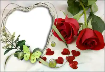 Efecto de fotos de la categoría Marcos para Enamorados № 9605 Efecto de fotos de la categoría Marcos para Enamorados № 9605