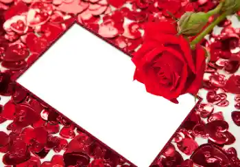 Efecto de fotos de la categoría Marcos para Enamorados № 96066