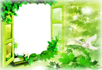 Efecto de fotos de la categoría Marcos para Enamorados № 96085