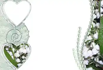 Efecto de fotos de la categoría Marcos para Enamorados № 96115