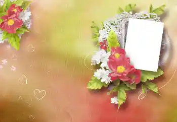 Efecto de fotos de la categoría Marcos para Enamorados № 99937