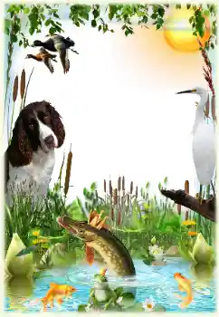 Efecto de fotos de la categoría Marcos de Fotos para Hombres № 124265