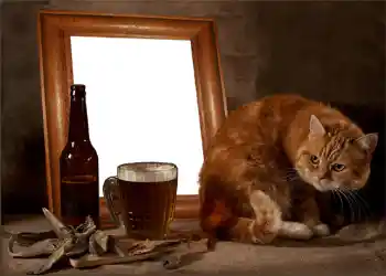 Efecto de fotos de la categoría Marcos de Fotos para Hombres № 897 Efecto de fotos de la categoría Marcos de Fotos para Hombres № 897