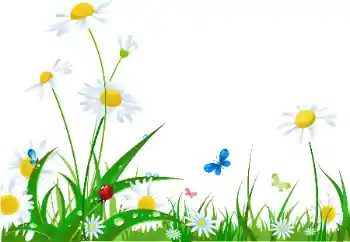 Inscripción en el marco: ¡Feliz Día de la Mujer!