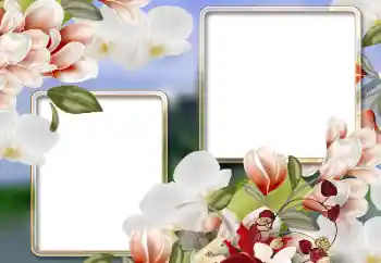 Inscripción en el marco: Día de la Mujer!