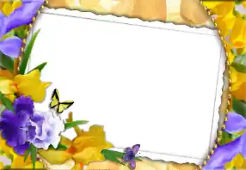 Inscripción en el marco: ¡Feliz Día de la Mujer!