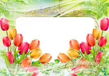 Inscripción en el marco: Día de la Mujer!