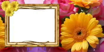 Efecto de fotos de la categoría Tarjetas del Día de la Mujer № 42675