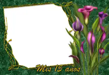 Efecto de fotos de la categoría Tarjetas de Feliz Cumpleaños № 188119. Inscripción en el marco: ¡Feliz Cumpleaños!
