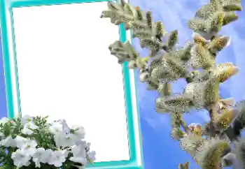 Efecto de fotos de la categoría Tarjetas de Pascua № 131205 Efecto de fotos de la categoría Tarjetas de Pascua № 131205