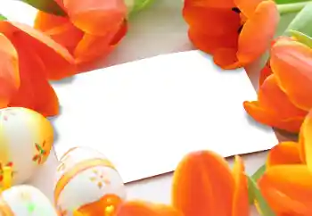 Efecto de fotos de la categoría Tarjetas de Pascua № 93170