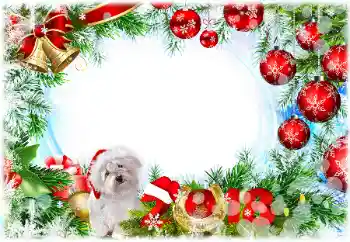 Inscripción en el marco: 2026